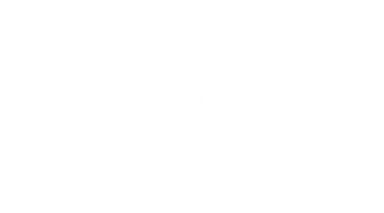 Autopfand Profi